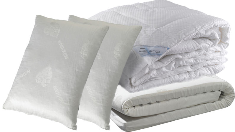 Système_sommeil_Nikken Système_sommeil_Nikken